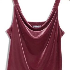 Tart NWT Fern Velvet Cowl Neck Camisole Tank Top Medium